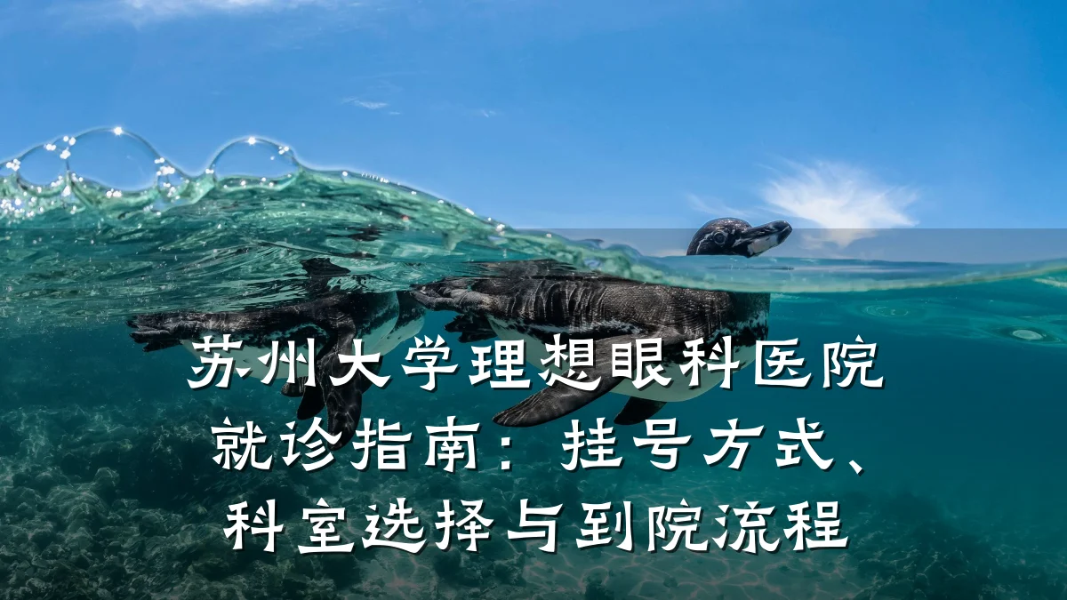 苏州大学理想眼科医院就诊指南：挂号方式、科室选择与到院流程