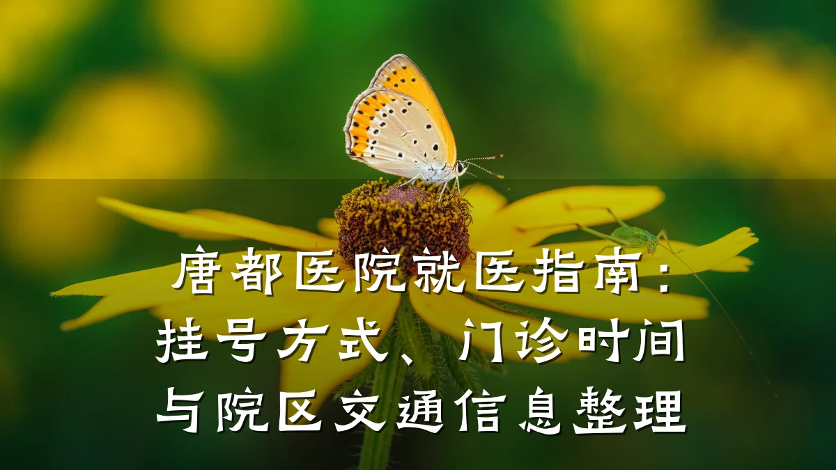 唐都医院就医指南:挂号方式、门诊时间与院区交通信息整理