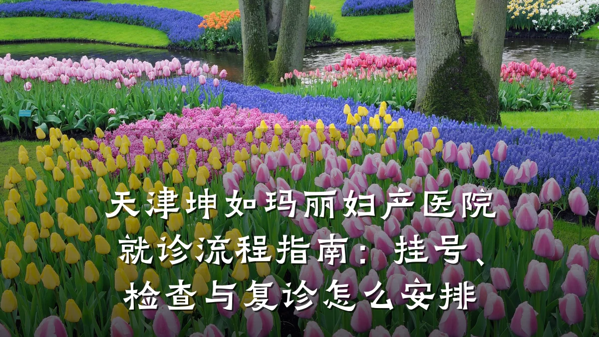 天津坤如玛丽妇产医院就诊流程指南:挂号、检查与复诊怎么安排
