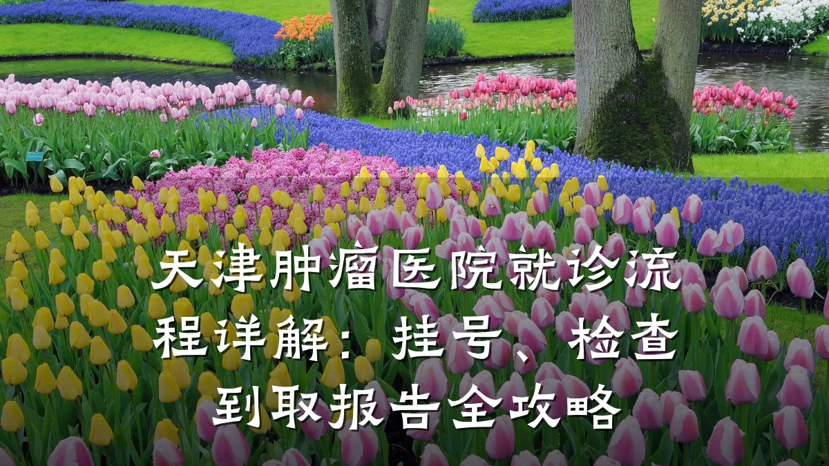 天津肿瘤医院就诊流程详解:挂号、检查到取报告全攻略