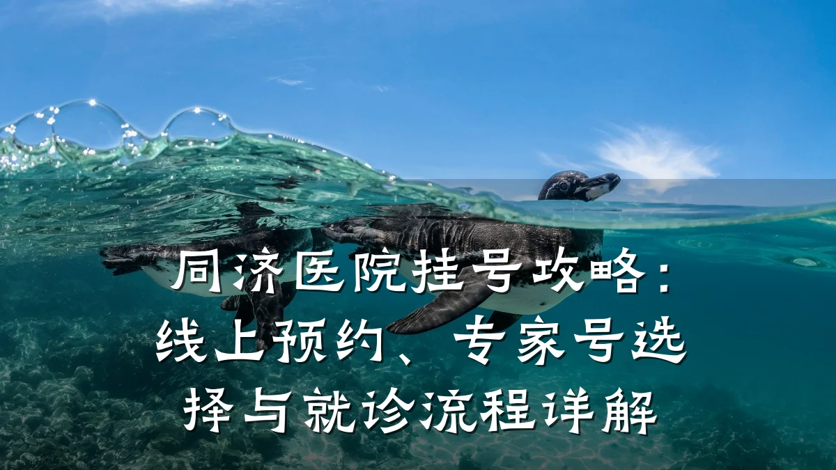 同济医院挂号攻略:线上预约、专家号选择与就诊流程详解