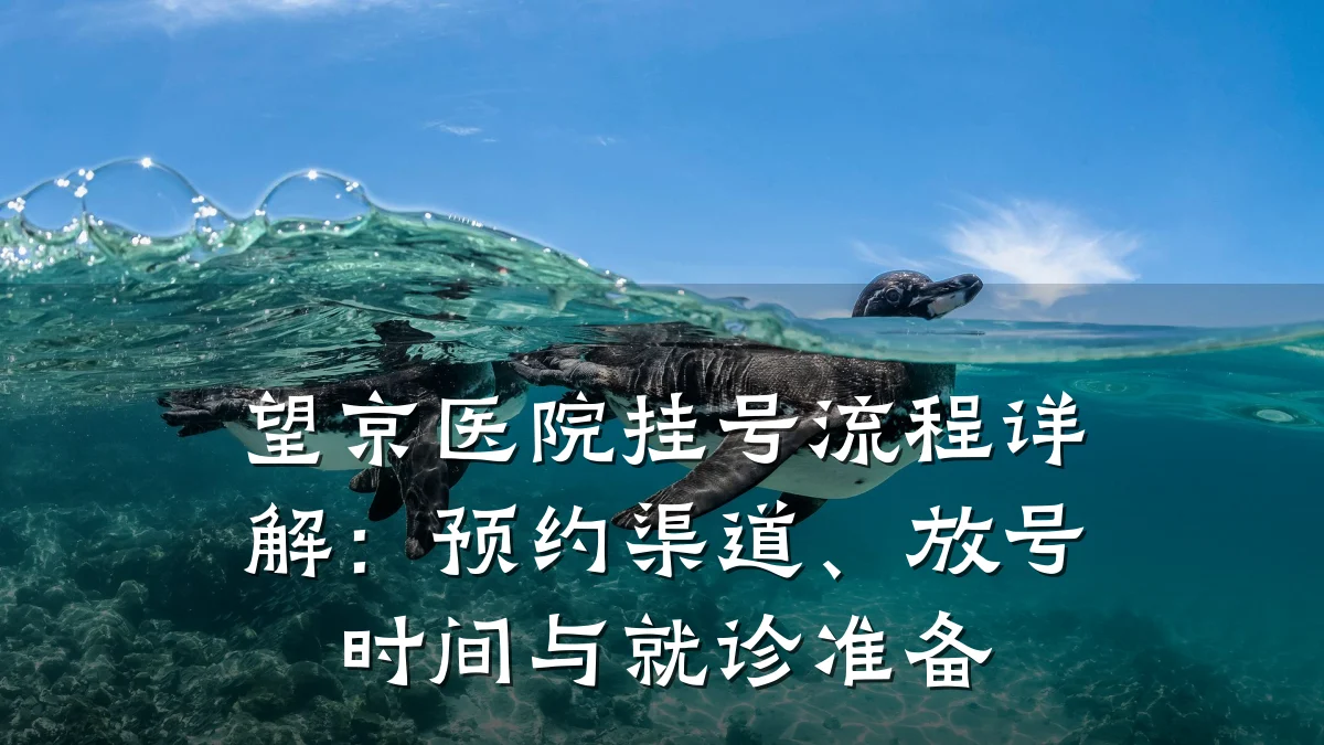 望京医院挂号流程详解:预约渠道、放号时间与就诊准备