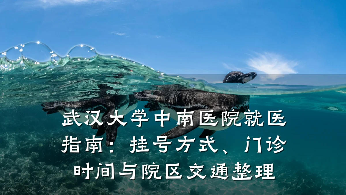 武汉大学中南医院就医指南:挂号方式、门诊时间与院区交通整理
