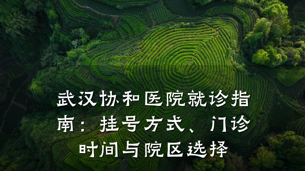 武汉协和医院就诊指南:挂号方式、门诊时间与院区选择