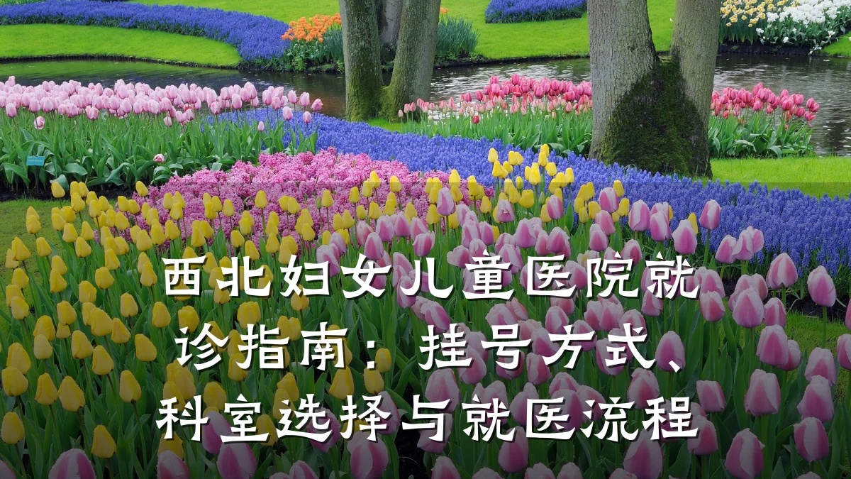 西北妇女儿童医院就诊指南:挂号方式、科室选择与就医流程