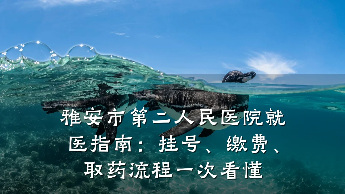 雅安市第二人民医院就医指南：挂号、缴费、取药流程一次看懂