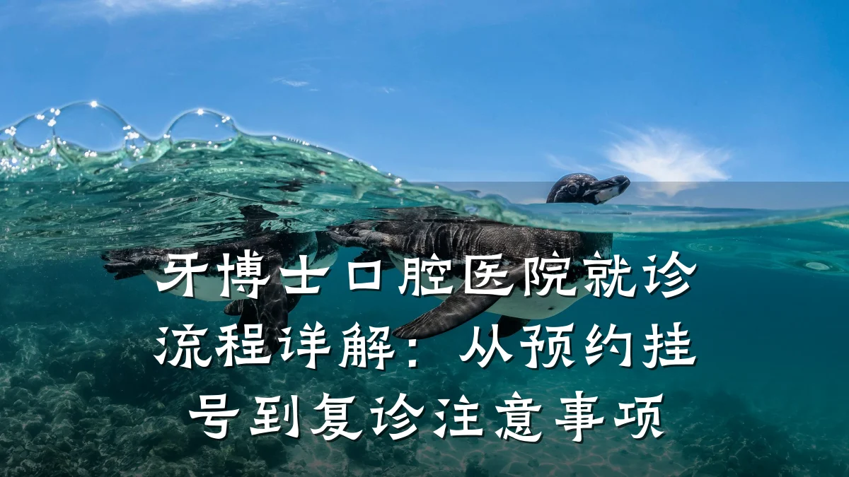 牙博士口腔医院就诊流程详解:从预约挂号到复诊注意事项