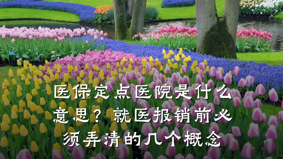 医保定点医院是什么意思?就医报销前必须弄清的几个概念