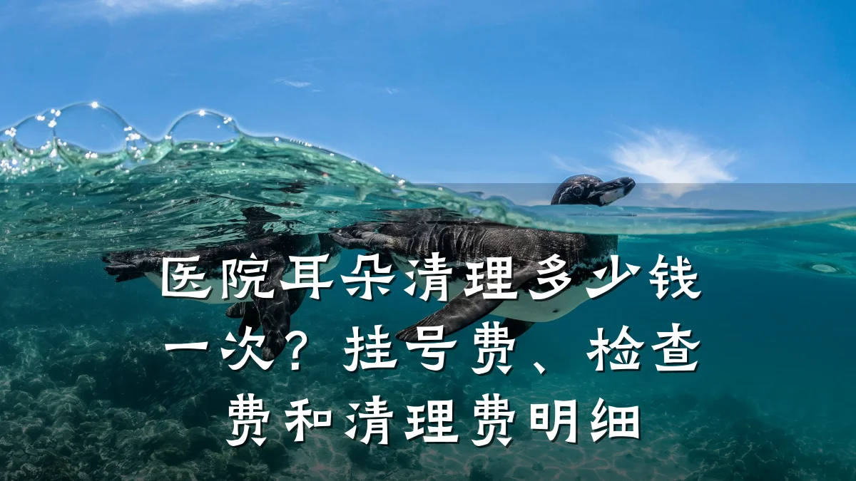 医院耳朵清理多少钱一次？挂号费、检查费和清理费明细