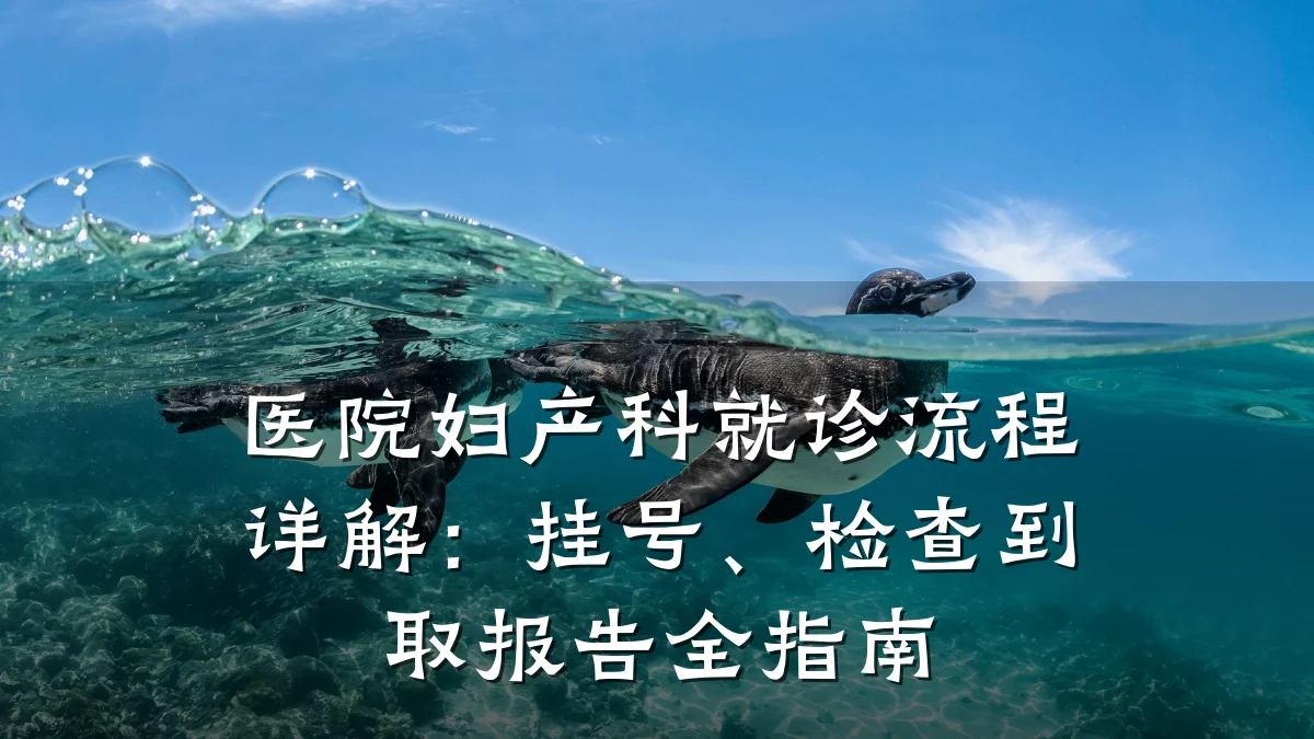 医院妇产科就诊流程详解:挂号、检查到取报告全指南