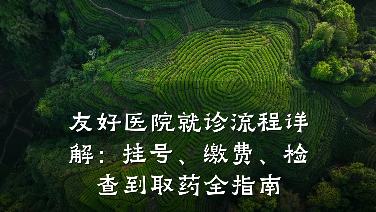 友好医院就诊流程详解:挂号、缴费、检查到取药全指南