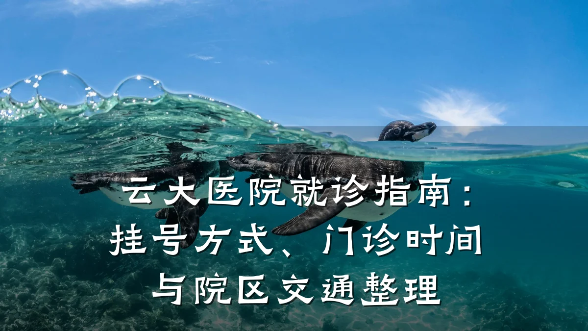 云大医院就诊指南:挂号方式、门诊时间与院区交通整理