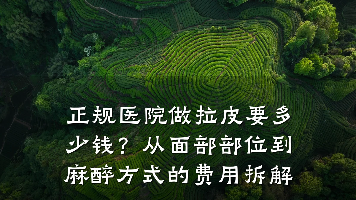 正规医院做拉皮要多少钱?从面部部位到麻醉方式的费用拆解