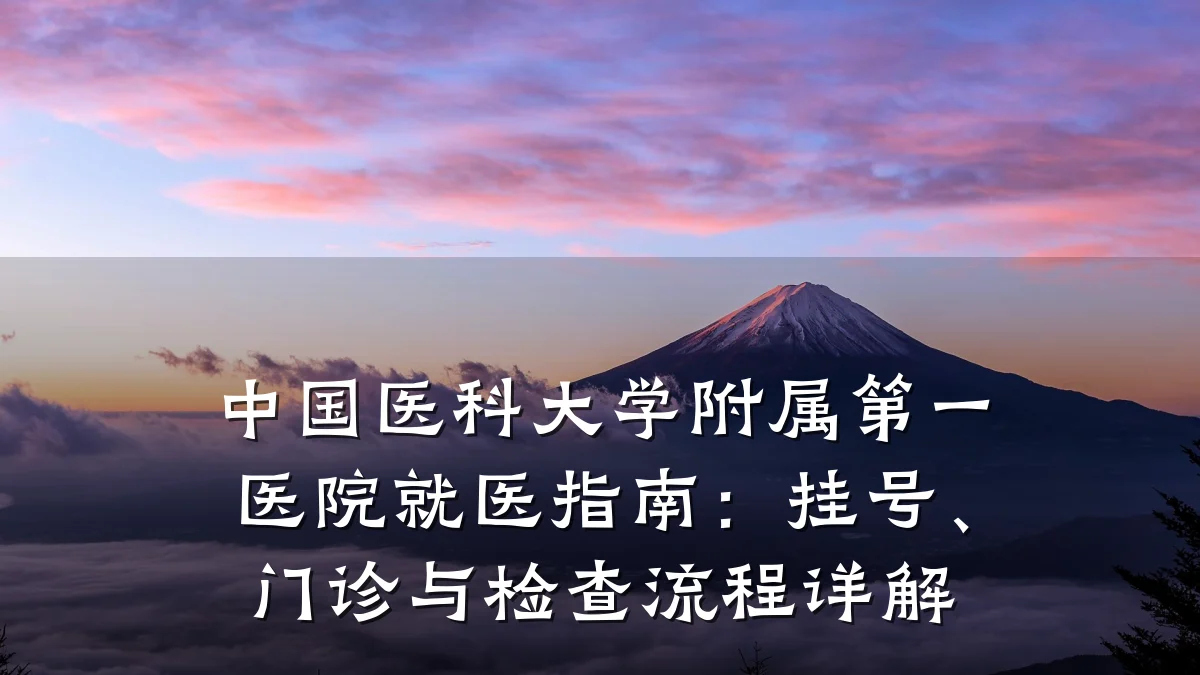 中国医科大学附属第一医院就医指南:挂号、门诊与检查流程详解