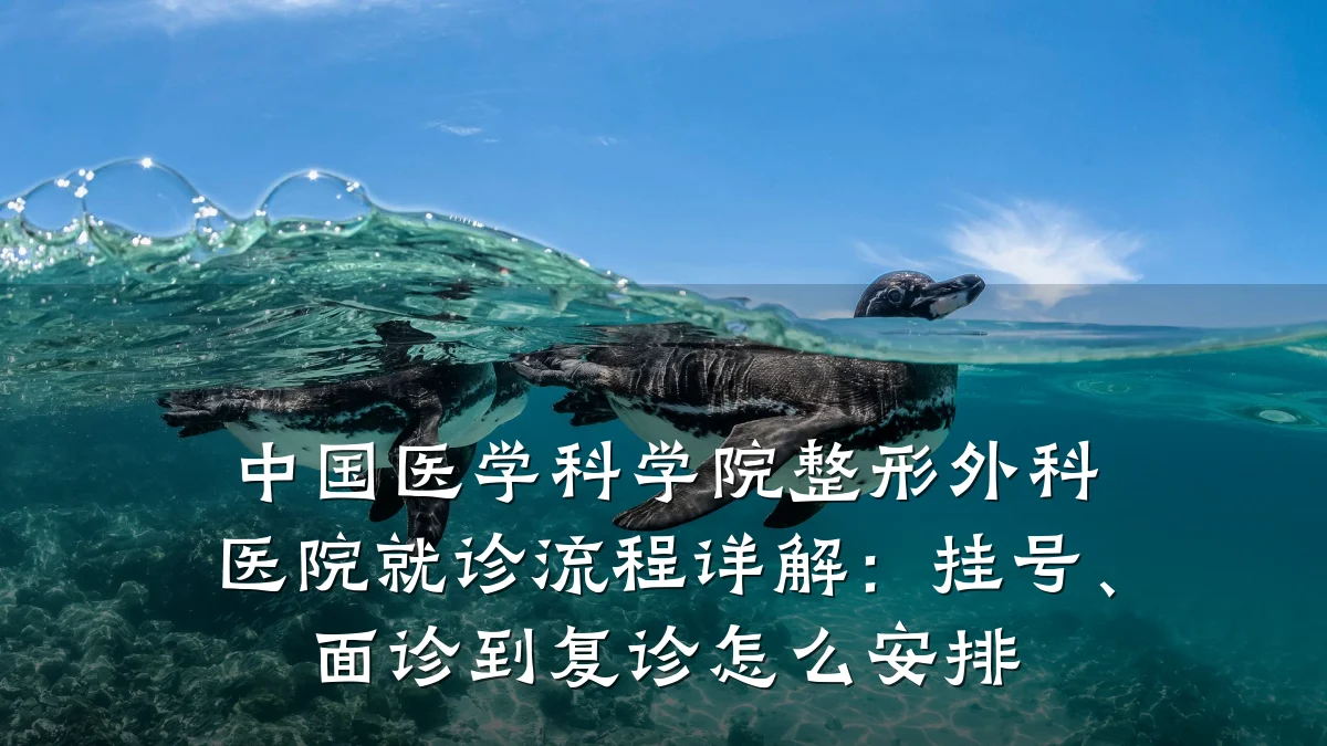 中国医学科学院整形外科医院就诊流程详解：挂号、面诊到复诊怎么安排