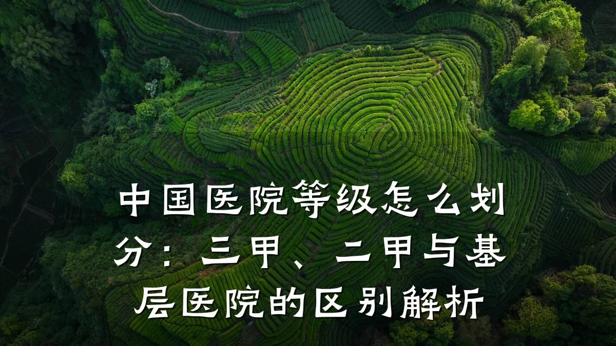 中国医院等级怎么划分:三甲、二甲与基层医院的区别解析