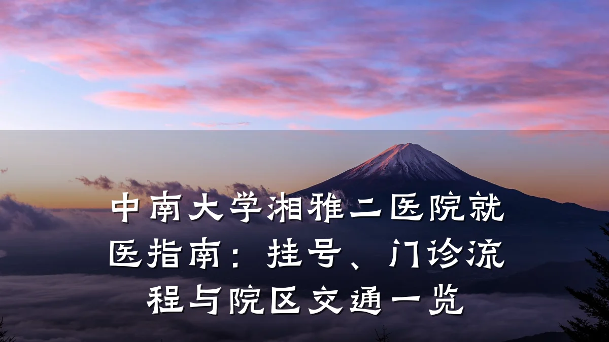 中南大学湘雅二医院就医指南:挂号、门诊流程与院区交通一览