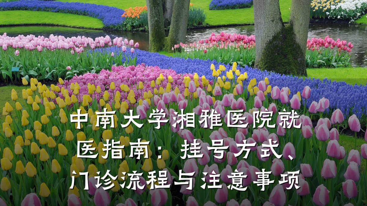 中南大学湘雅医院就医指南:挂号方式、门诊流程与注意事项