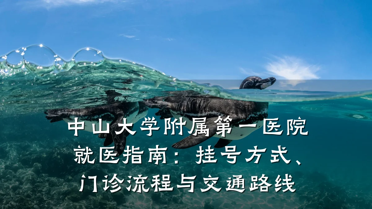 中山大学附属第一医院就医指南:挂号方式、门诊流程与交通路线
