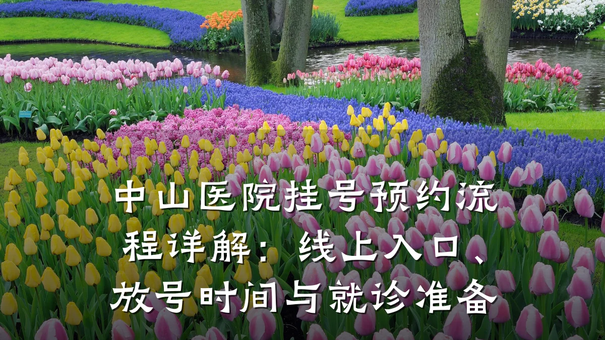 中山医院挂号预约流程详解:线上入口、放号时间与就诊准备