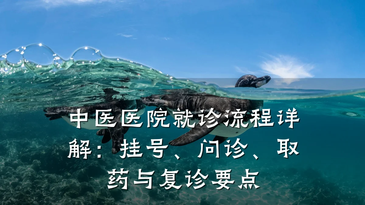 中医医院就诊流程详解:挂号、问诊、取药与复诊要点