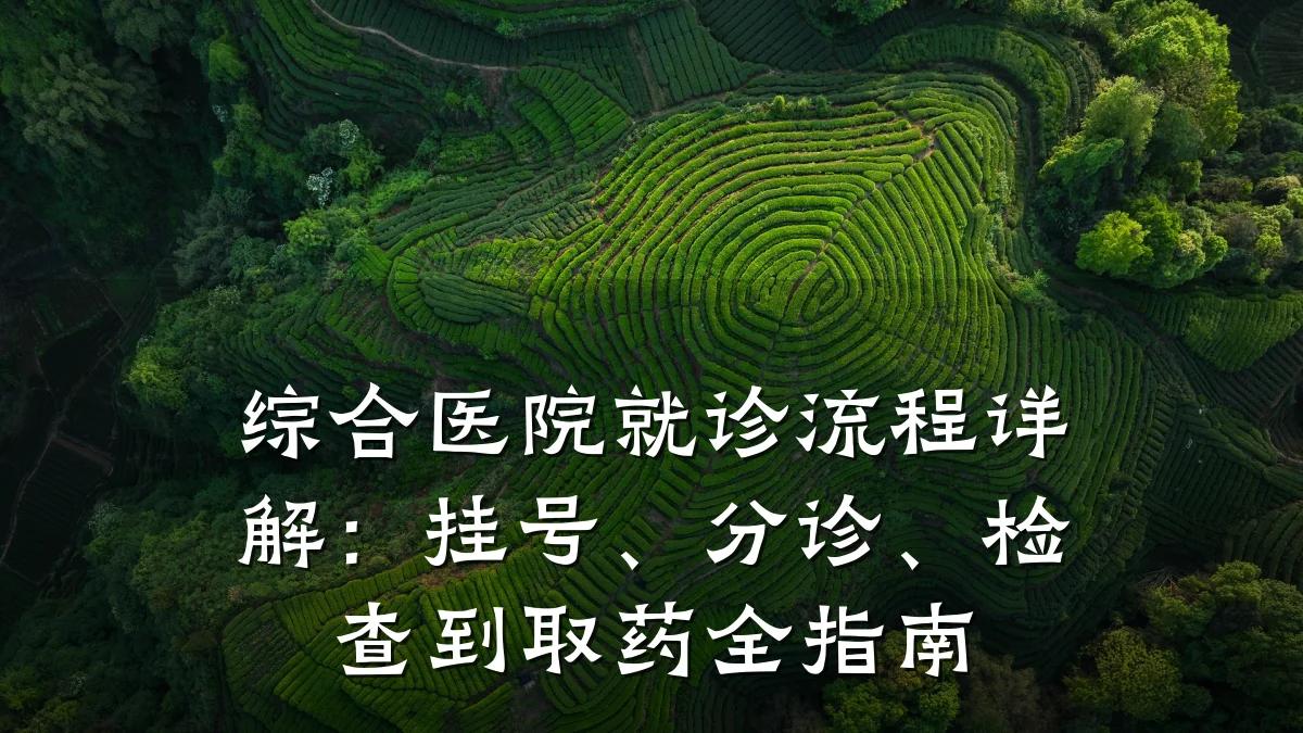 综合医院就诊流程详解:挂号、分诊、检查到取药全指南