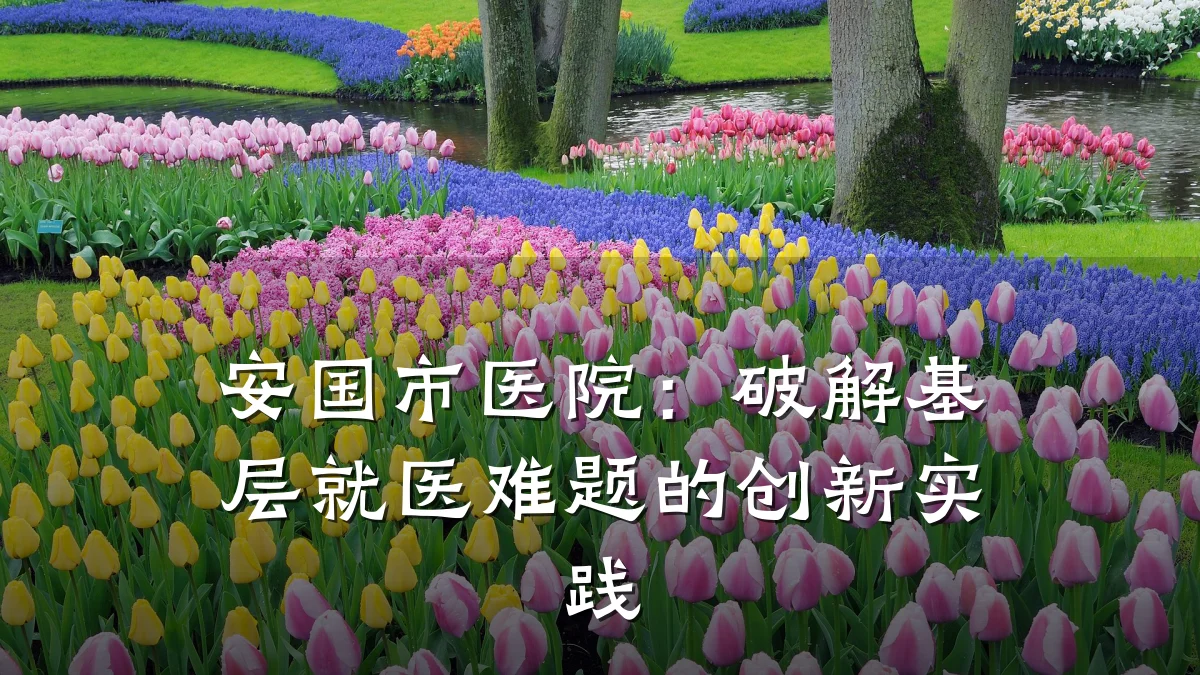 安国市医院:破解基层就医难题的创新实践