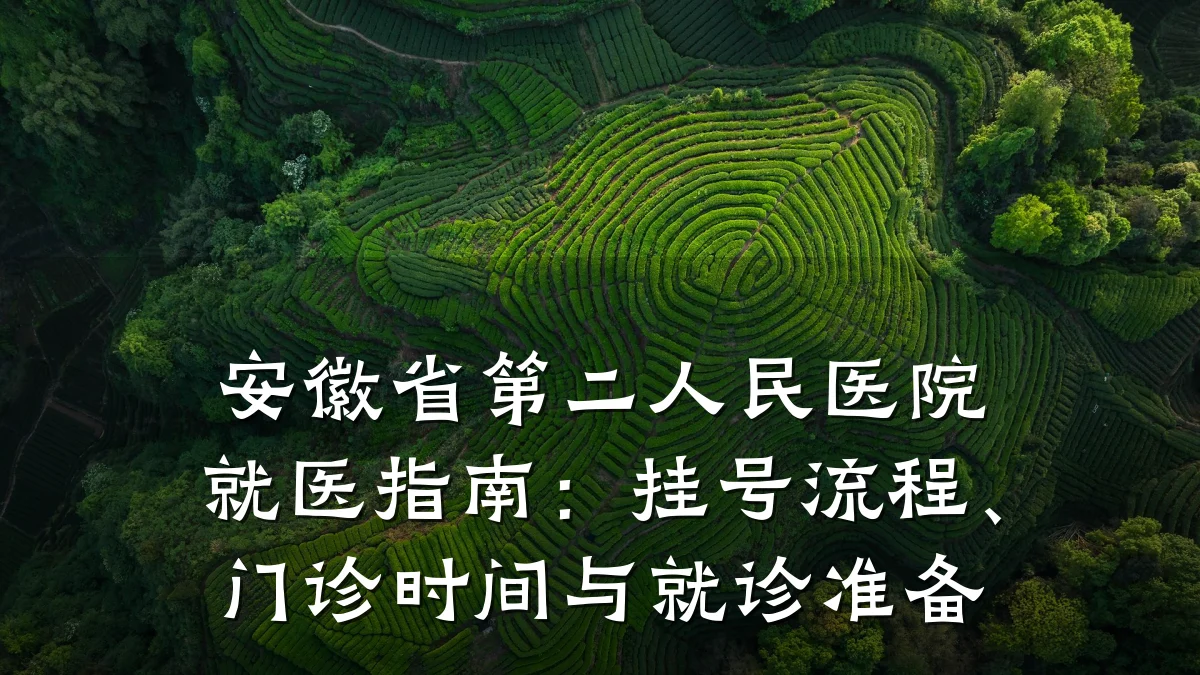 安徽省第二人民医院就医指南:挂号流程、门诊时间与就诊准备