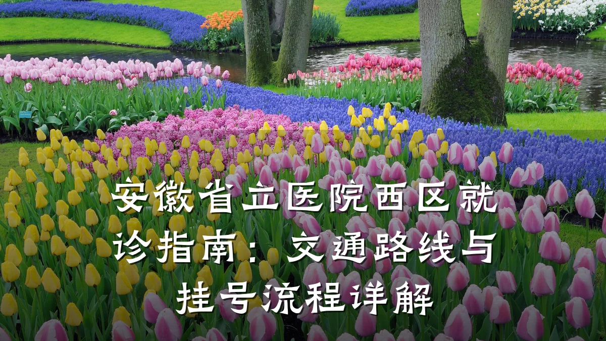 安徽省立医院西区就诊指南:交通路线与挂号流程详解