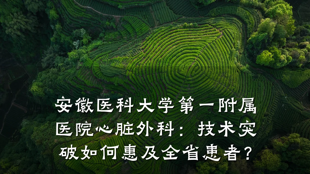 安徽医科大学第一附属医院心脏外科:技术突破如何惠及全省患者?