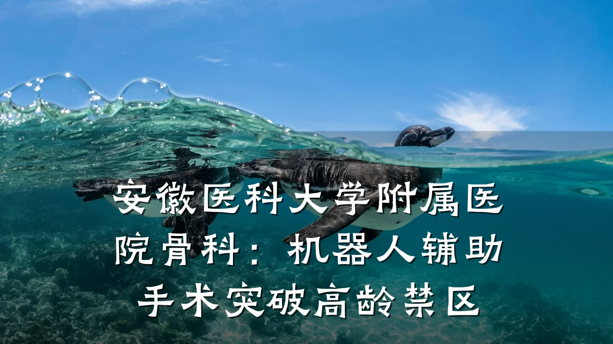 安徽医科大学附属医院骨科:机器人辅助手术突破高龄禁区