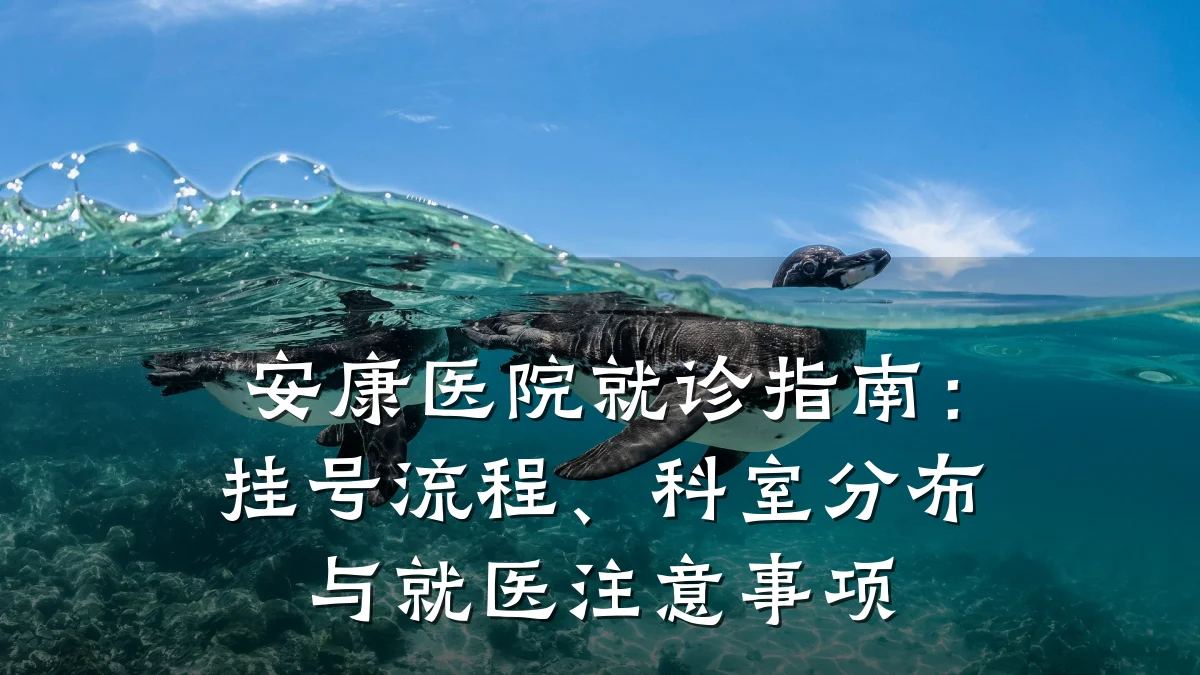 安康医院就诊指南:挂号流程、科室分布与就医注意事项