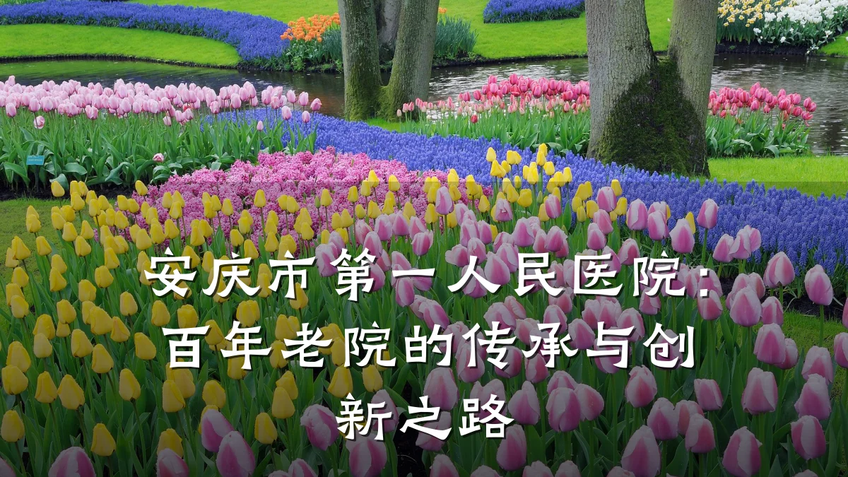 安庆市第一人民医院:百年老院的传承与创新之路