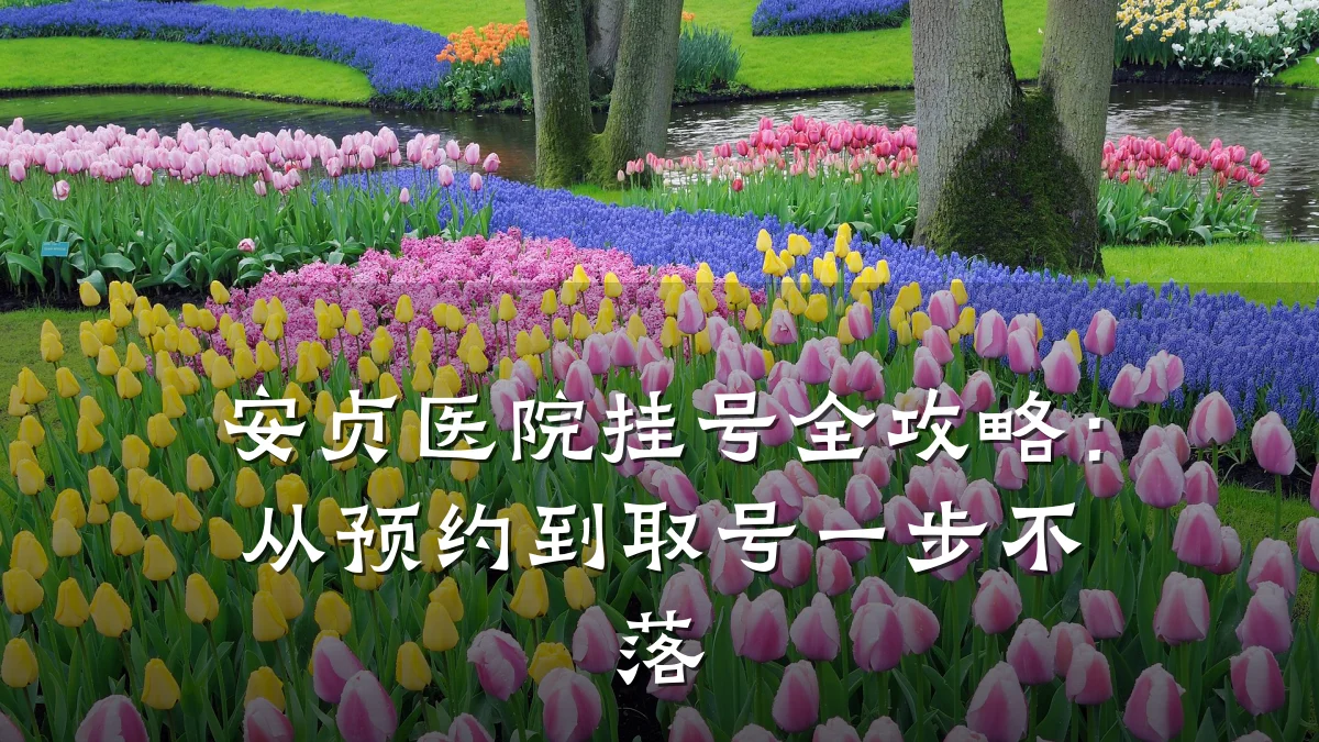 安贞医院挂号全攻略:从预约到取号一步不落