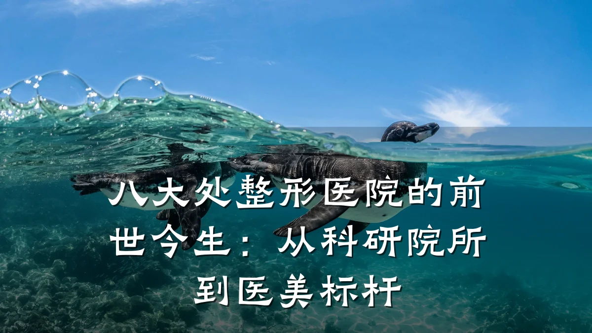 八大处整形医院的前世今生:从科研院所到医美标杆