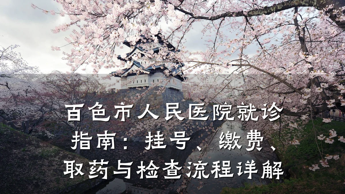 百色市人民医院就诊指南:挂号、缴费、取药与检查流程详解