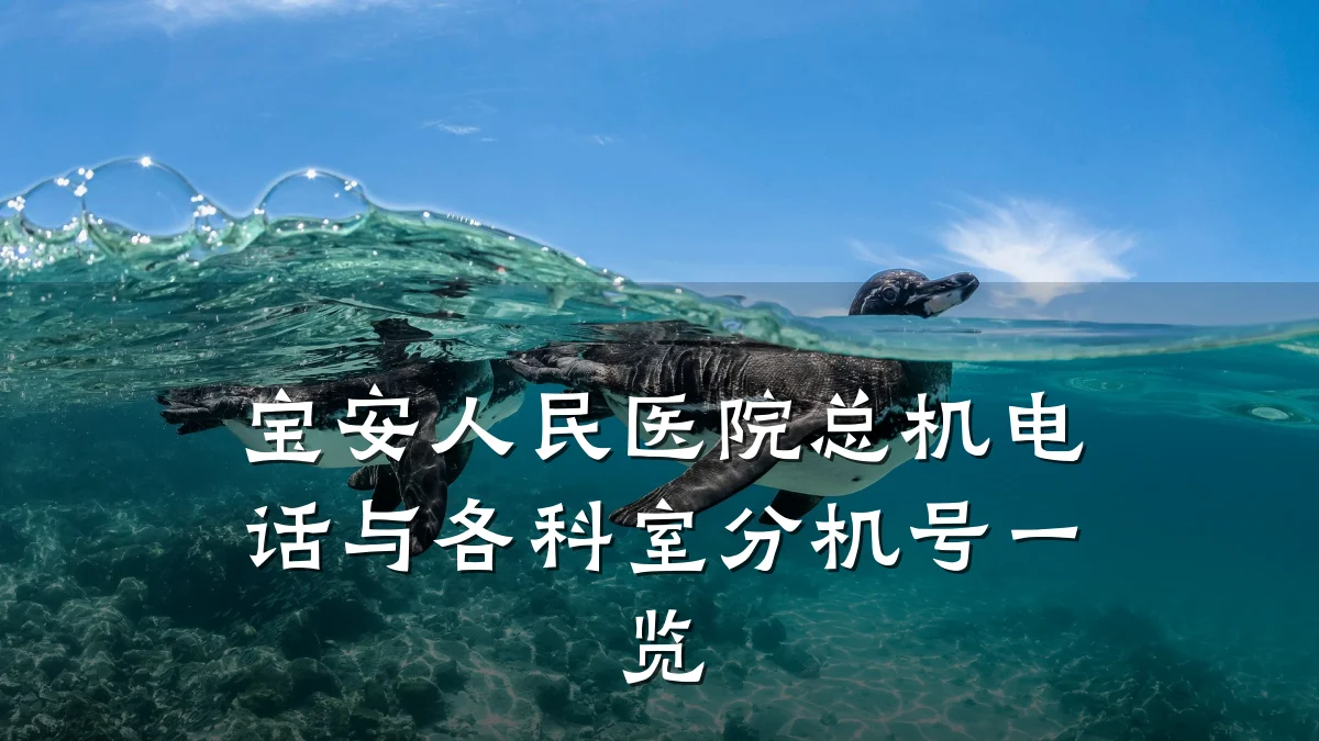 宝安人民医院总机电话与各科室分机号一览