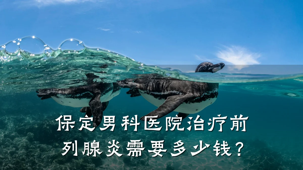 保定男科医院治疗前列腺炎需要多少钱?