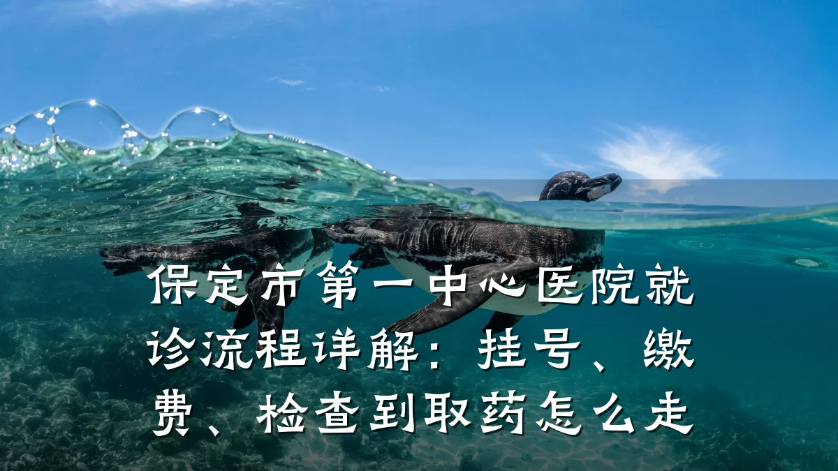 保定市第一中心医院就诊流程详解:挂号、缴费、检查到取药怎么走