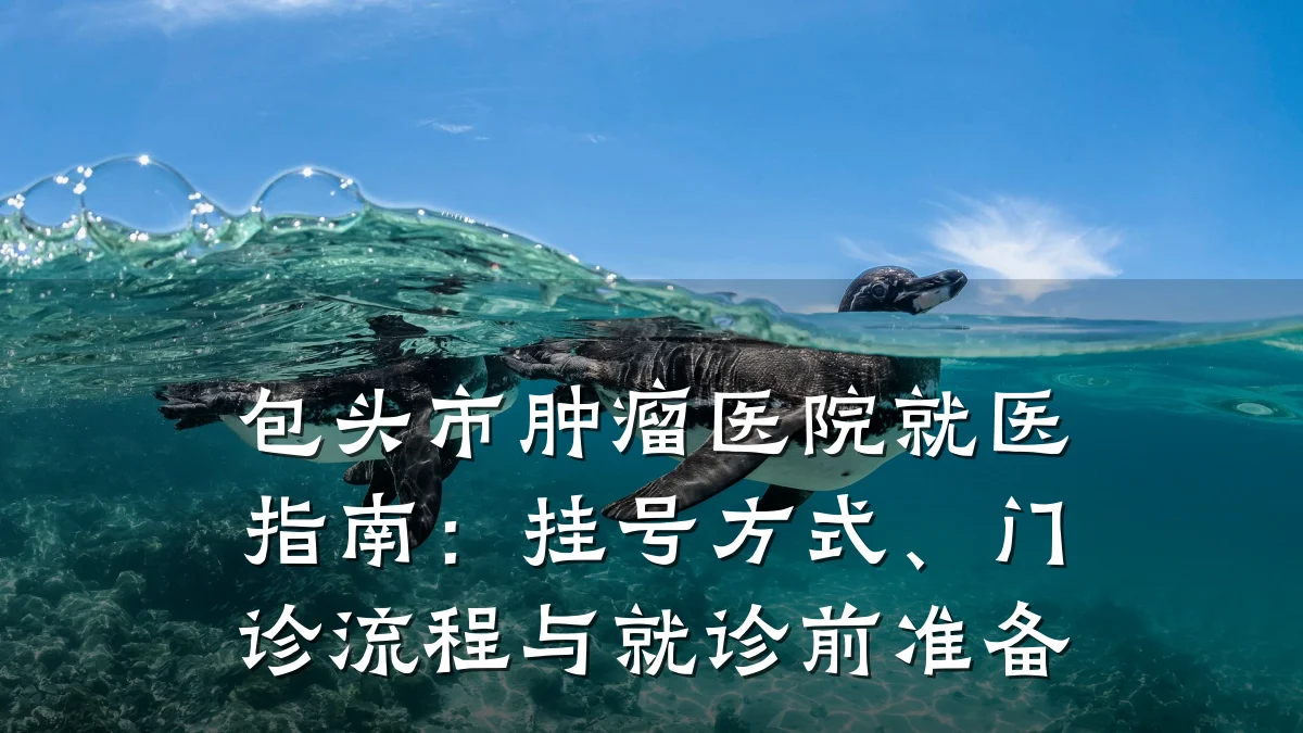 包头市肿瘤医院就医指南:挂号方式、门诊流程与就诊前准备