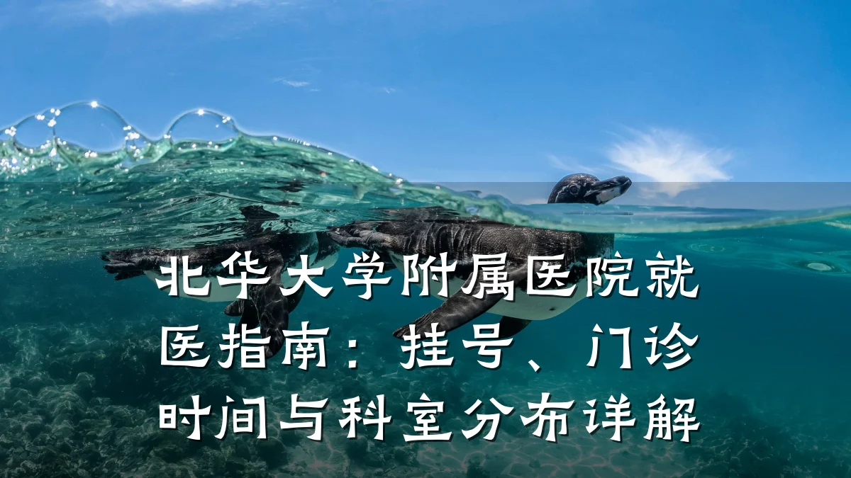 北华大学附属医院就医指南:挂号、门诊时间与科室分布详解