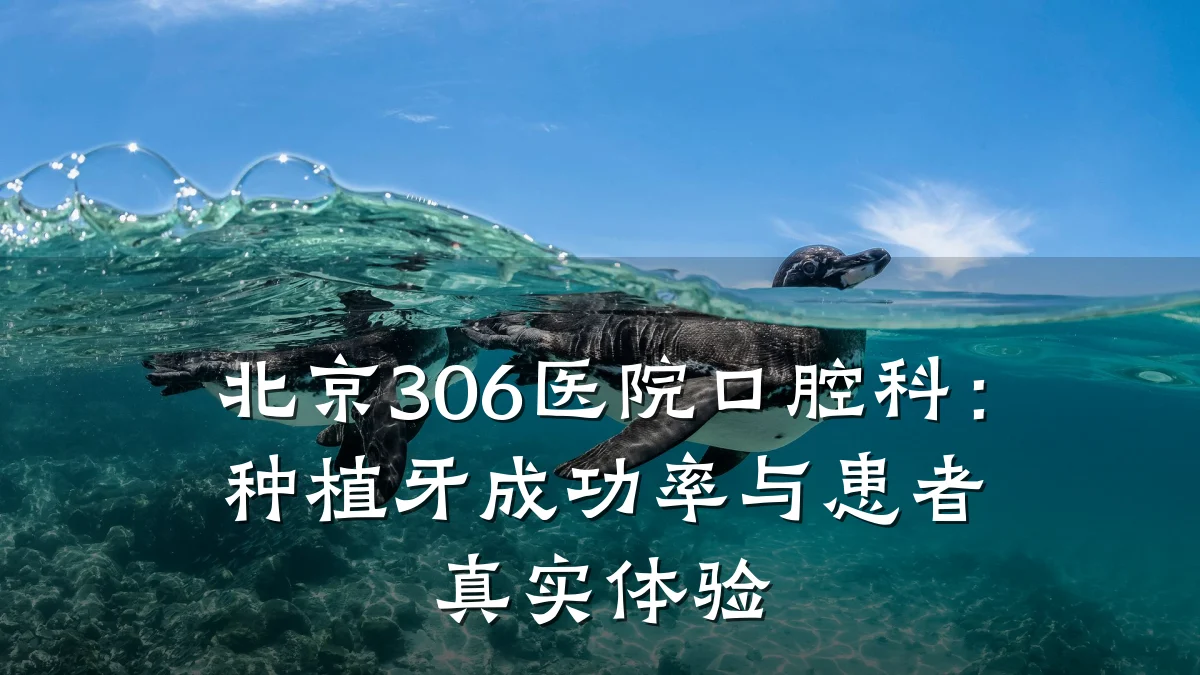 北京306医院口腔科:种植牙成功率与患者真实体验