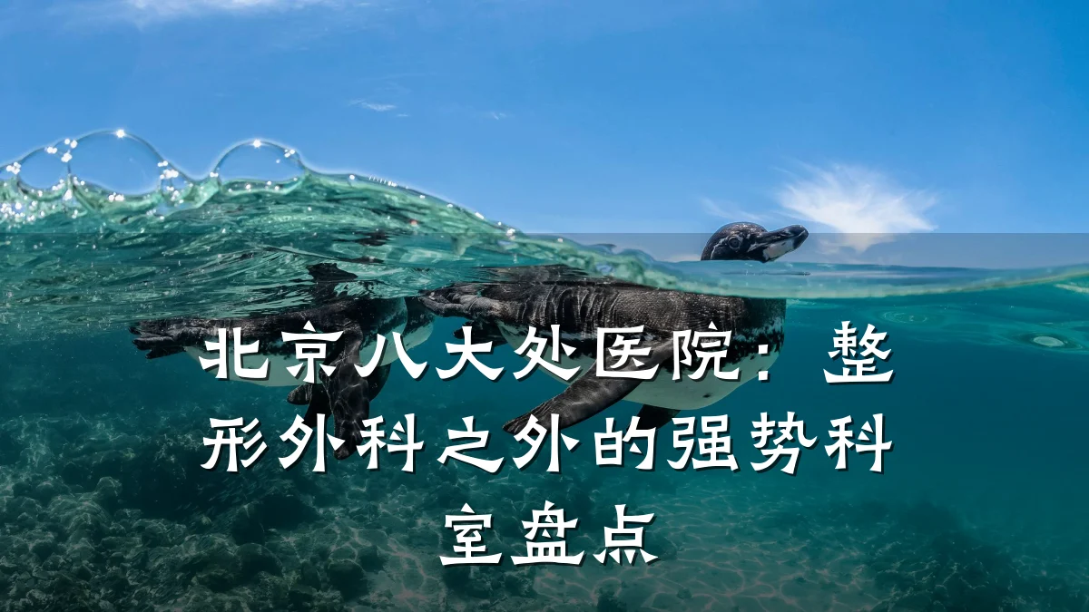 北京八大处医院:整形外科之外的强势科室盘点