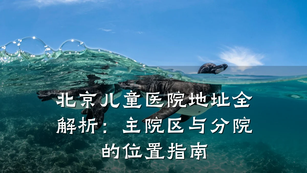 北京儿童医院地址全解析:主院区与分院的位置指南