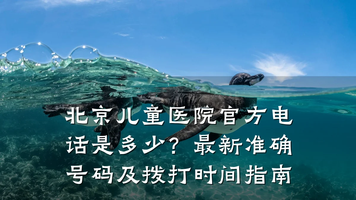 北京儿童医院官方电话是多少?最新准确号码及拨打时间指南
