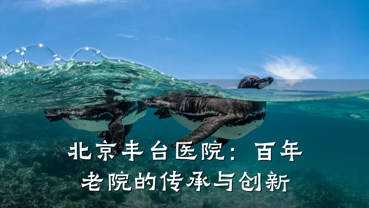 北京丰台医院:百年老院的传承与创新