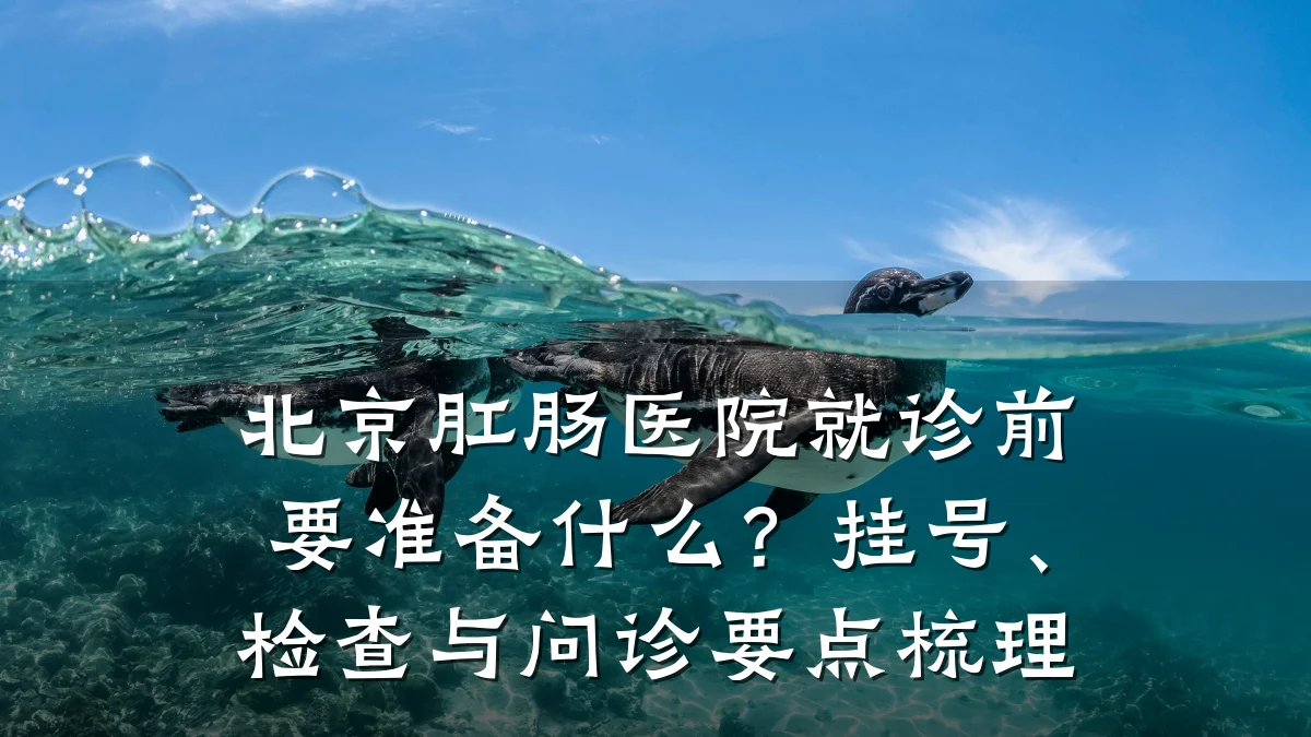 北京肛肠医院就诊前要准备什么?挂号、检查与问诊要点梳理