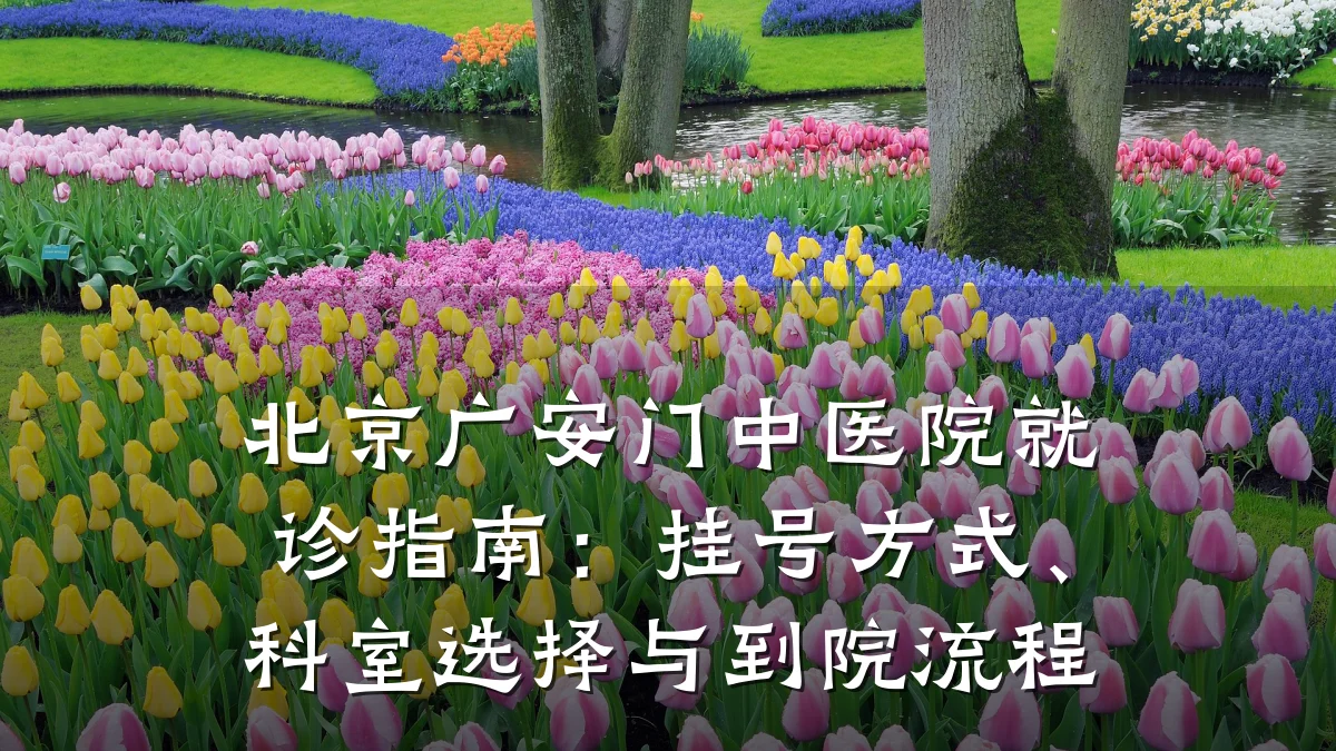 北京广安门中医院就诊指南:挂号方式、科室选择与到院流程