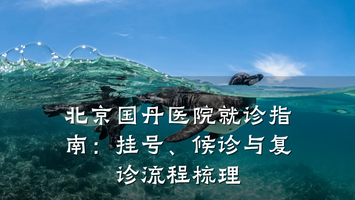 北京国丹医院就诊指南:挂号、候诊与复诊流程梳理