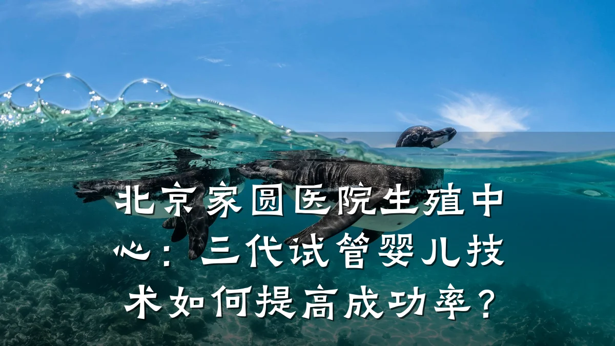 北京家圆医院生殖中心:三代试管婴儿技术如何提高成功率?